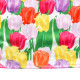 Dětské, dívčí letní šaty fialové s barevnými tulipány